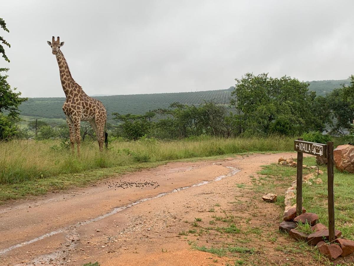 Ndhula Luxury Tented Lodge White River Exterior photo